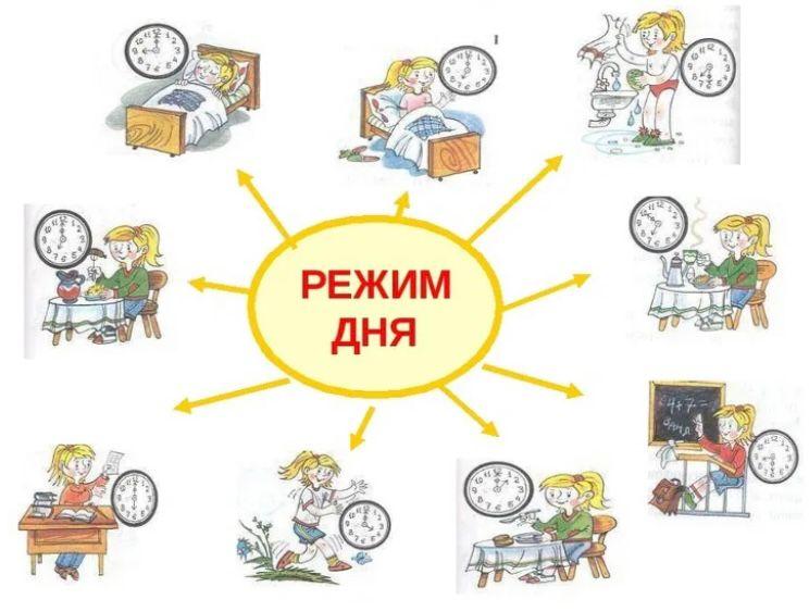 Режим дня.